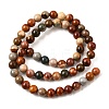 Natural Picture Jasper Beads Strands G-S390-07-6mm-3