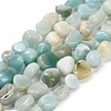 Natural Flower Amazonite Beads Strands G-P568-C18-01-2
