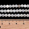 Natural Rainbow Moonstone Beads Strands G-P500-01C-01A-4