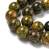 Natural Bumblebee Jasper Beads Strands G-P544-A03-02-4