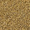 MIYUKI Delica Beads SEED-X0054-DB0410-3