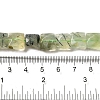 Natural Prehnite Beads Strands G-C109-A05-02-5