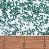 MIYUKI Delica Beads SEED-X0054-DB0656-4