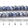 Natural Blue Spot Jasper Beads Strands G-K380-A02-01-5