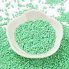 Baking Paint Glass Seed Beads X-SEED-S042-05B-59-2