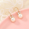 Chic Alloy Rhinestone Dangle Earrings BQ4899-1