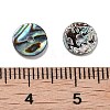 Natural Paua Shell Pendants SSHEL-D084-09A-3