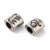 Oval with Constellation 304 Stainless Steel Beads STAS-E215-05AS-03-2