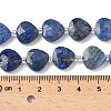 Natural Lapis Lazuli Beads Strands G-D316-A05-4