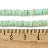 Dyed Natural Freshwater Shell Beads Strands X1-BSHE-G039-07E-4