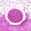 8/0 Inside Colours Transparent Glass Seed Beads X1-SEED-T007-06J-1
