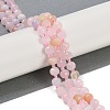 Natural Morganite Beads Strands G-H057-A03-01-2