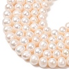 Natural Cultured Freshwater Pearl Beads Strands PA-CBABE82-15E-3