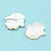 Natural Sea Shell Cabochons SHEL-D079-07-3