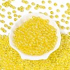 Transparent Glass Seed Beads SEED-N007-33B-05-2