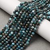 Natural Apatite Beads Strands LS-G-A276-C08-4mm-01-1