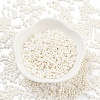 Baking Paint Glass Seed Beads X1-SEED-A033-05D-2