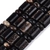 Natural Biotite Beads Strands G-Q616-09B-2
