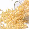 TOHO 11/0 Round Beads SEED-TR11-0903-1