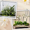 Polyester Artificial Moss DIY-CN0003-92B-7