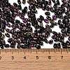 Spray Painted Glass Seed Beads SEED-F005-08A-02-4