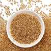 TOHO 8/0 Round Beads X-SEED-TR08-0701-2
