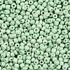 8/0 Baking Paint Glass Seed Beads SEED-R051-07B-08-3