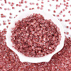 Transparent Inside Colours Glass Seed Beads SEED-T007-13G-1