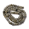 Natural Labradorite Beads Strands G-P587-D13-01-3