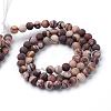 Natural Zebra Jasper Round Bead Strands G-T055-8mm-03-2