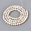 AB Color Natural Freshwater Shell Beads Strands BSHE-T014-40C-2