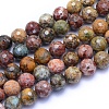 Natural Ocean Jasper Beads Strands G-I279-E20-04-1