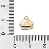 Brass Micro Pave Cubic Zirconia Charms LS-KK-P337-03A-G-4