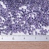 MIYUKI Delica Beads SEED-JP0008-DB0250-5
