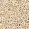 MIYUKI Delica Beads SEED-X0054-DB0204-3