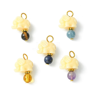 Opaque Resin and Natural Mixed Stone Pendants PALLOY-JF01765-01-1