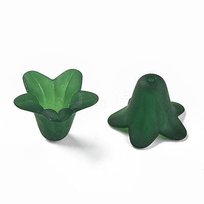 Transparent Acrylic Beads PLF018-09-1
