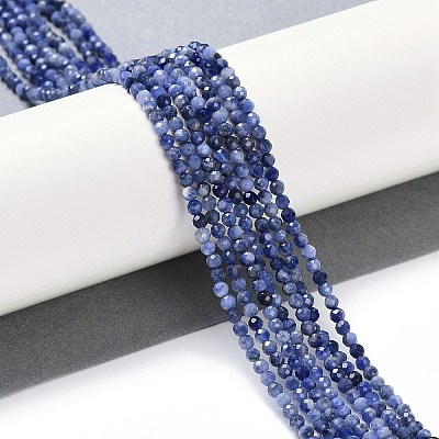 Natural Sodalite Beads Strands LS-G-G139-A07-02-1