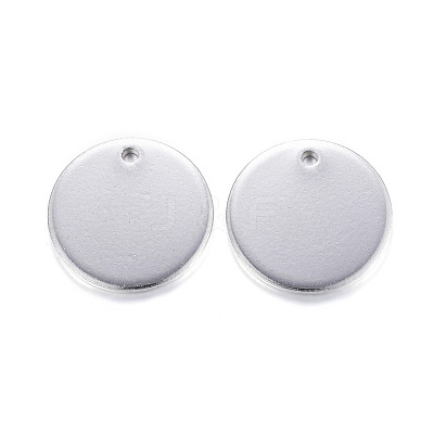 Tarnish Resistant 304 Stainless Steel Charms STAS-G122-23P-1