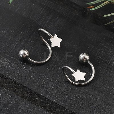 304 Stainless Steel Spiral Cartilage Earrings AJEW-A062-04P-02-1