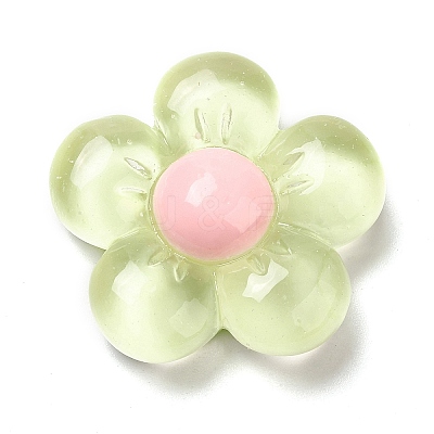 Translucent Resin Cabochons RESI-C034-04-1