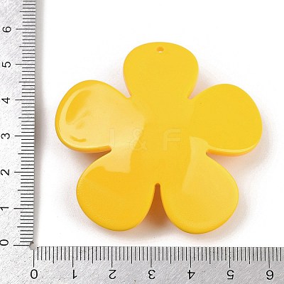 Opaque Printed Acrylic Big Pendants LS-MACR-I035-01E-1