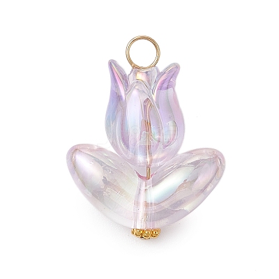 6Pcs Acrylic Beads Pendants PALLOY-JF03023-1