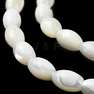 Natural Trochus Shell Beads Strands BSHE-E030-02B-1