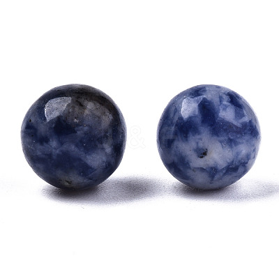 Natural Blue Spot Jasper Beads G-R483-08-8mm-1