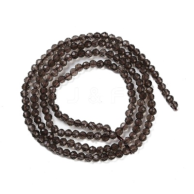 Natural Smoky Quartz Beads Strands G-P553-G05-01-1