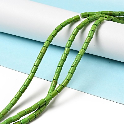 Synthetic Turquoise Beads Strands TURQ-G120-4x6mm-08-1