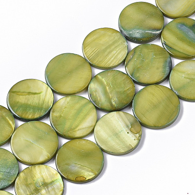 Freshwater Shell Beads Strands SHEL-T014-011D-1