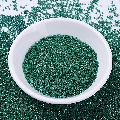 MIYUKI Delica Beads X-SEED-J020-DB0656-1