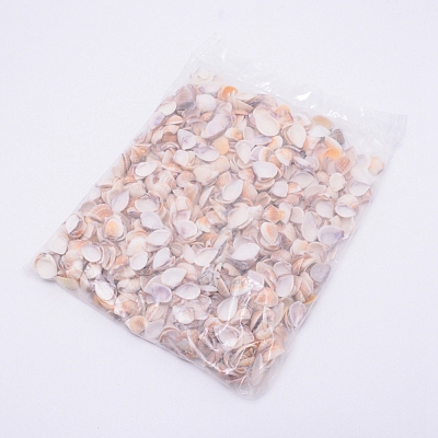 Natural Conch Shell Beads SSHEL-WH0003-01-1